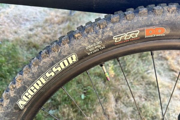 Wear & Tear on MTB Tires