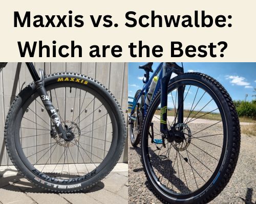 Maxxis vs. Schwalbe