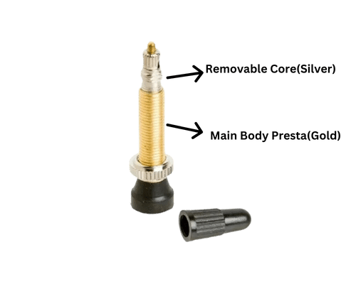 Two Part (Removable core valve)